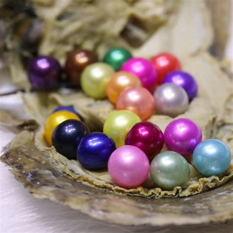 34 Colors 20 Pearls In 1 Akoya Pearl Oyster7 8mm 3a Grade Round Pearl