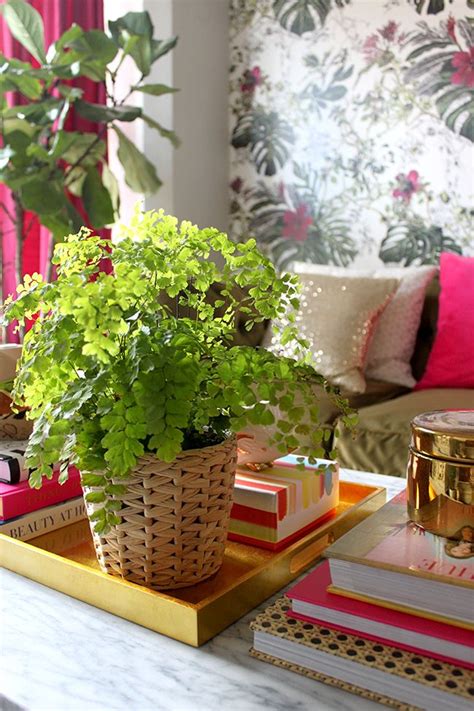 Transform your space, and then put your new tables to use with table lamps, decorative accessories and stylish drinkware for entertaining. How to Style Your Home with Plants | Coffee table plants ...