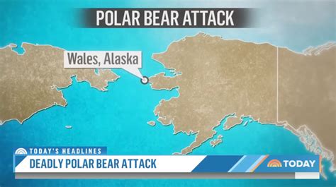 24 Year Old Mother And 1 Year Old Son Mauled To Death In Rare Alaska