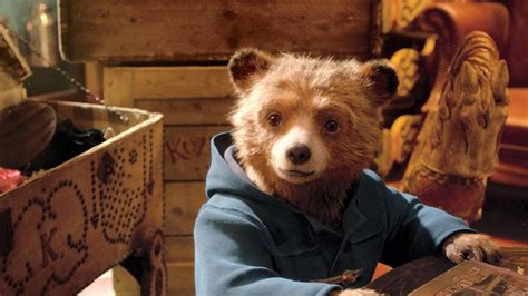 Naming the teddy bear will be the start of an attachment that could last years, and possibly the first a name makes the teddy bear more than just a toy. The cast of Paddington 2 on how they brought the sequel to ...
