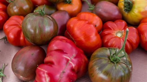 Discovering The Best Heirloom Tomato Varieties For Your Garden