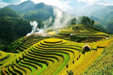 Mu Cang Chai Rice Terrace When Is The Best Time To Visit Zonitrip