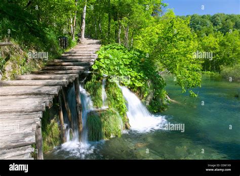 Plitvice Lakes National Park Lika Senj Croatia Boardwalk Through