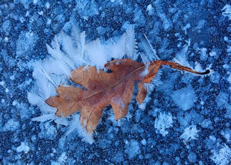Ice Feathers Quabbin Reservoir Ma Patrick Zephyr Photography