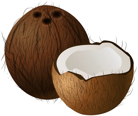 Coconuts Png Clip Art