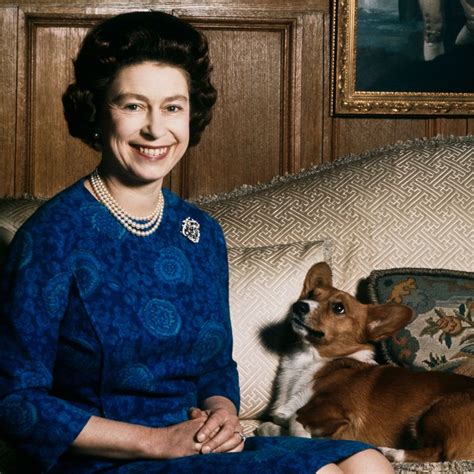 Queen Elizabeth Ii’s Last Corgi Willow Has Died