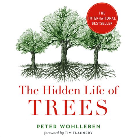 The Hidden Life Of Trees Book Jzamedic