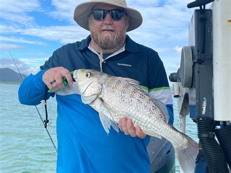 Cairns Fishing Charter All You Need To Know Before You Go