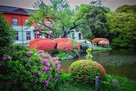 Koishikawa Botanical Gardens Tokyo Travel Information