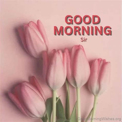 30 Good Morning Wishes For Sir Good Morning Wishes