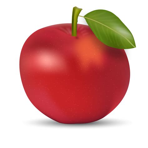 Red Red Apple Vector Red Apple Png Download 12001200 Free