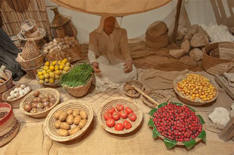 The museum has even had a garden grow some of the foods of the native mitsitam redefined the increasing potential for the use of food studies in the museum context. Photo 1543-14: Exhibition of traditional food in Bahrain ...