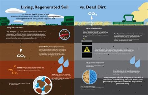 Living Soil Vs Dead Dirt Green America Benefits Of Organic Farming