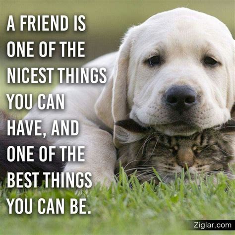 Quotes about animals and friendship animals quotes. ♥ A friend is one the nicest things you can have and one of the best things you can be...Zig ...