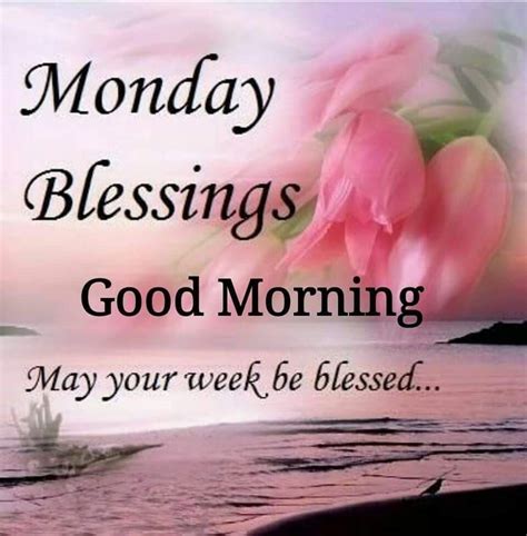 May Your Week Be Blessedgood Morning And Monday Blessings Pictures