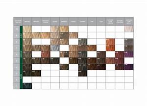Essensity Colour Product Range