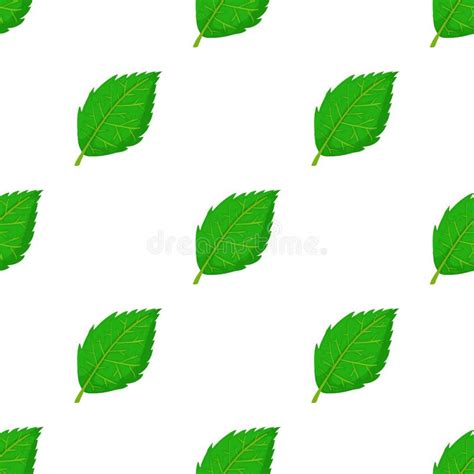 Birch Leaf Pattern Seamless Vector Stock Vector Illustration Of