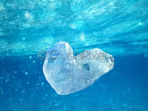 Floating Bottle Problem Of Plastic Pollution Under The Sea Concept