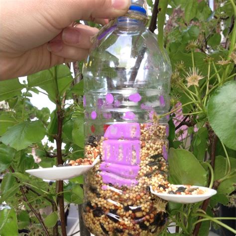Cut off the top of two of the bottles using a craft knife or scissors. Water bottle bird feeders | Craft ideas | Pinterest | Bird ...