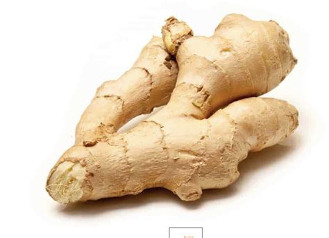 Fresh Ginger Root 100grams Bloom Veg