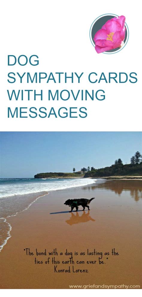 Dog Sympathy Cards With Moving Messages
