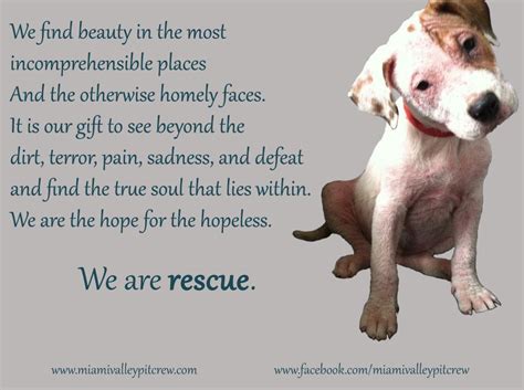 We Are Rescue One Of Mvpcs Top 10 Favorite Quotes And Mine About