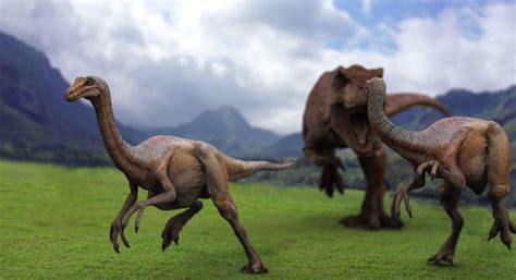 Image Gallimimus Jurassic Park Wiki Fandom Powered By Wikia