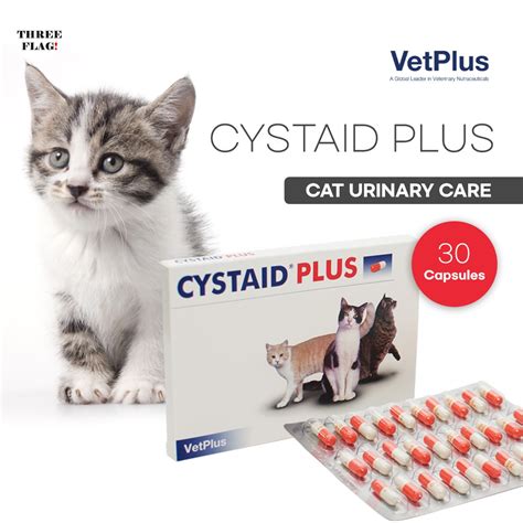 Cystaid Plus Cat Urinary Care 1box 30 Capsules Tvq4 Shopee Thailand