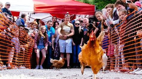 Village Hen Racing Event Like A Monty Python Sketch Bbc News