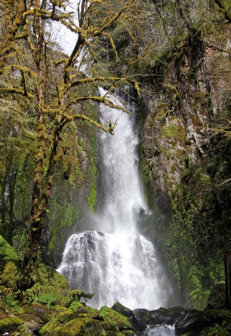 Oregon Boasts Hidden Waterfalls The Columbian