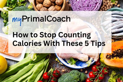 How To Stop Counting Calories With These 5 Tips Myprimalcoach