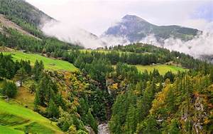 Scenery, Switzerland, Mountains, Forests, Grasslands, Nature