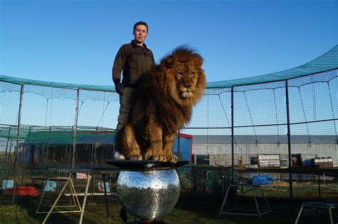 Britains Last Lion Tamer Refused License Effectively Banning Big Cats From Circuses