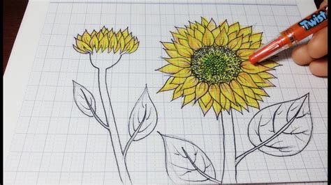 Hướng Dẫn Vẽ Hoa Hướng Dương Đơn Giãn Nhất How To Draw Sunflowers Easy