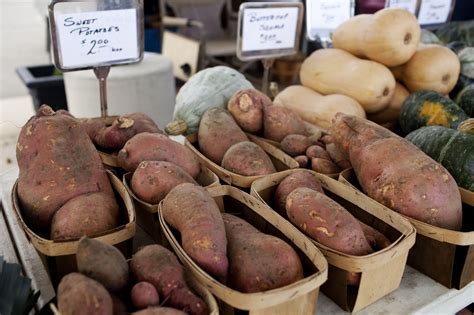 Updates on thanksgiving travel, weather and flight cancellations. Seeking a sweet potato recipe: Help craft this dish for ...