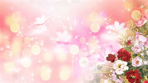 1080p Images High Resolution Wedding Studio Background Hd Images For Images