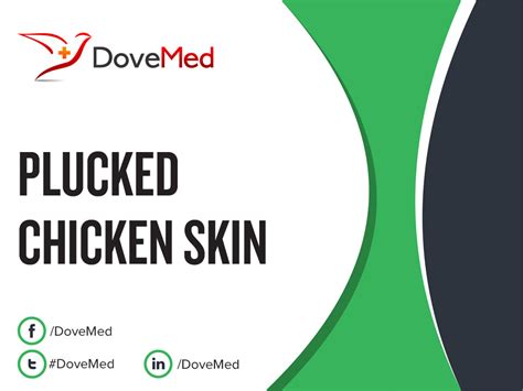 Plucked Chicken Skin