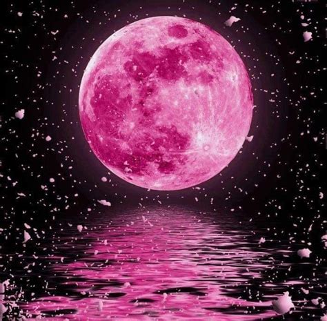The Best Pink Moon Wallpaper