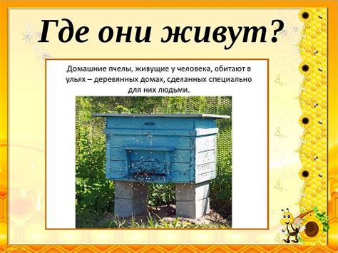 Строение улья для пчел: Устройство улья - АгроБаза