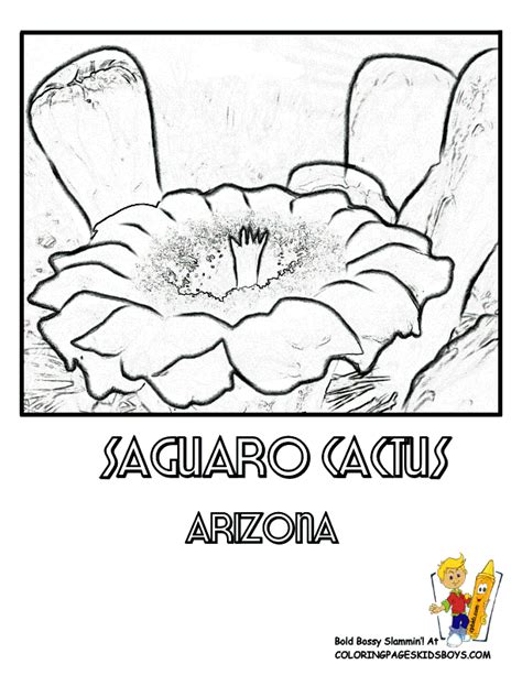 Arizona State Flower Coloring Page Saguaro Cactus