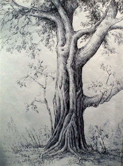 Kjhvjkm Pencil Drawings Of Nature Landscape Sketch Landscape Drawings