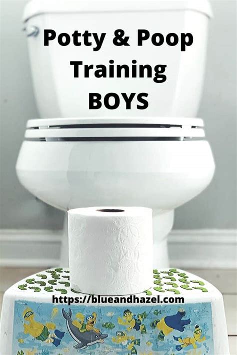 Potty Training Stubborn Boys Over Age 3 Who Wont Poop Blue And Hazel