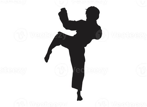 Silhouette Of A Karate Kick 22599107 Png