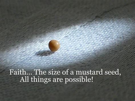 Strength For Today “the Power Of Mustard Seed Faith” Matthew 1720