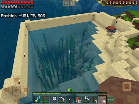 i made my turtle enclosure part of the ocean and fish and dolphin