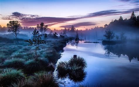 Landscape Nature Mist Sunrise Trees Shrubs River Germany Calm Water Blue Morning