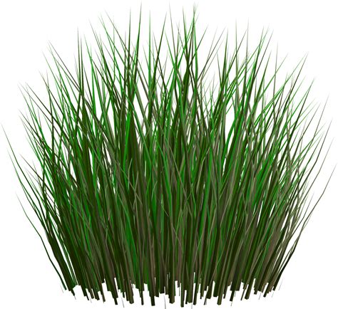 Tuft of grass 'tuft of grass' is a 11 letter phrase starting with t and ending with s crossword clues for 'tuft of grass' synonyms, crossword answers and other related words for tuft of grass tussock Digital Collaboration Studio/S1 2014 - Lorrain Xiao: 05/06/14