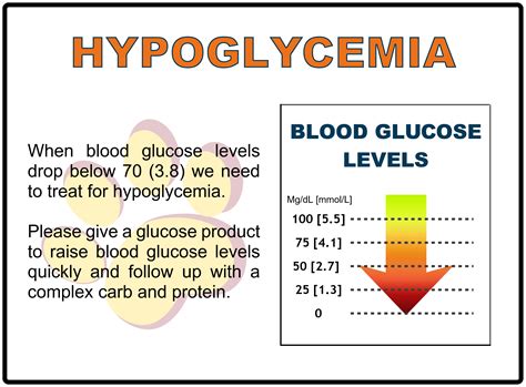 Hypoglycemia Causes Symptoms And Treatment Laptrinhx News