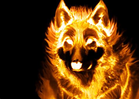 Fire Wolf By Lamar823 On Deviantart