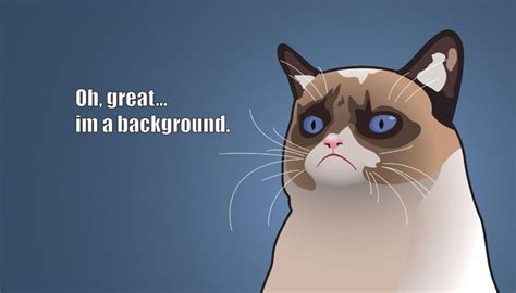 Collection of funny memes, viral images, positive quotes, wallpaper hd, cute animal memes and more for sharing with pinterest fans. 30 Funny Meme Wallpapers - 1920x1080 HD Desktop backgrounds